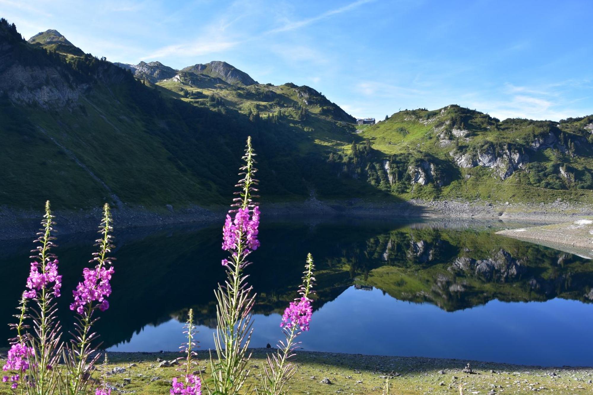 Mooroom Dalaas Exteriér fotografie