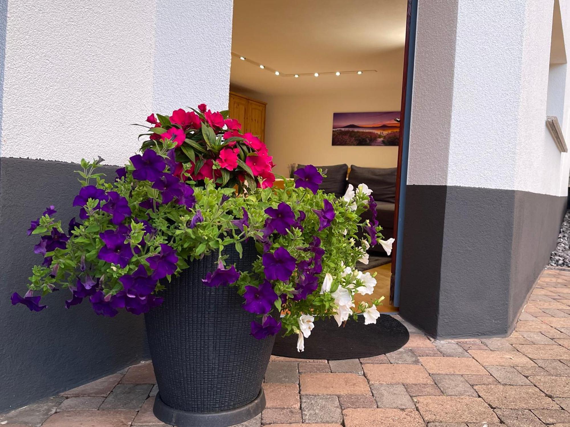 Mooroom Dalaas Exteriér fotografie